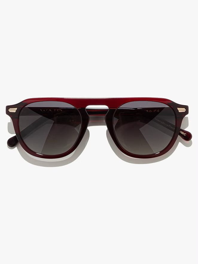 Party All The Time Sunglasses